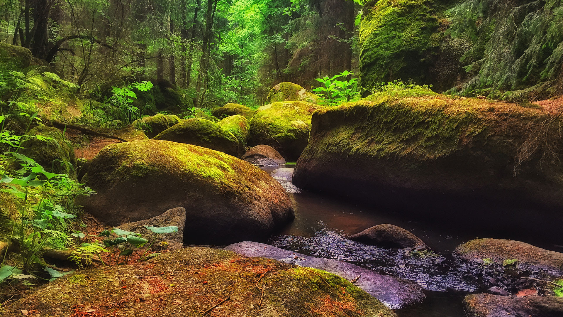 NAturschutzgebiet Doost
