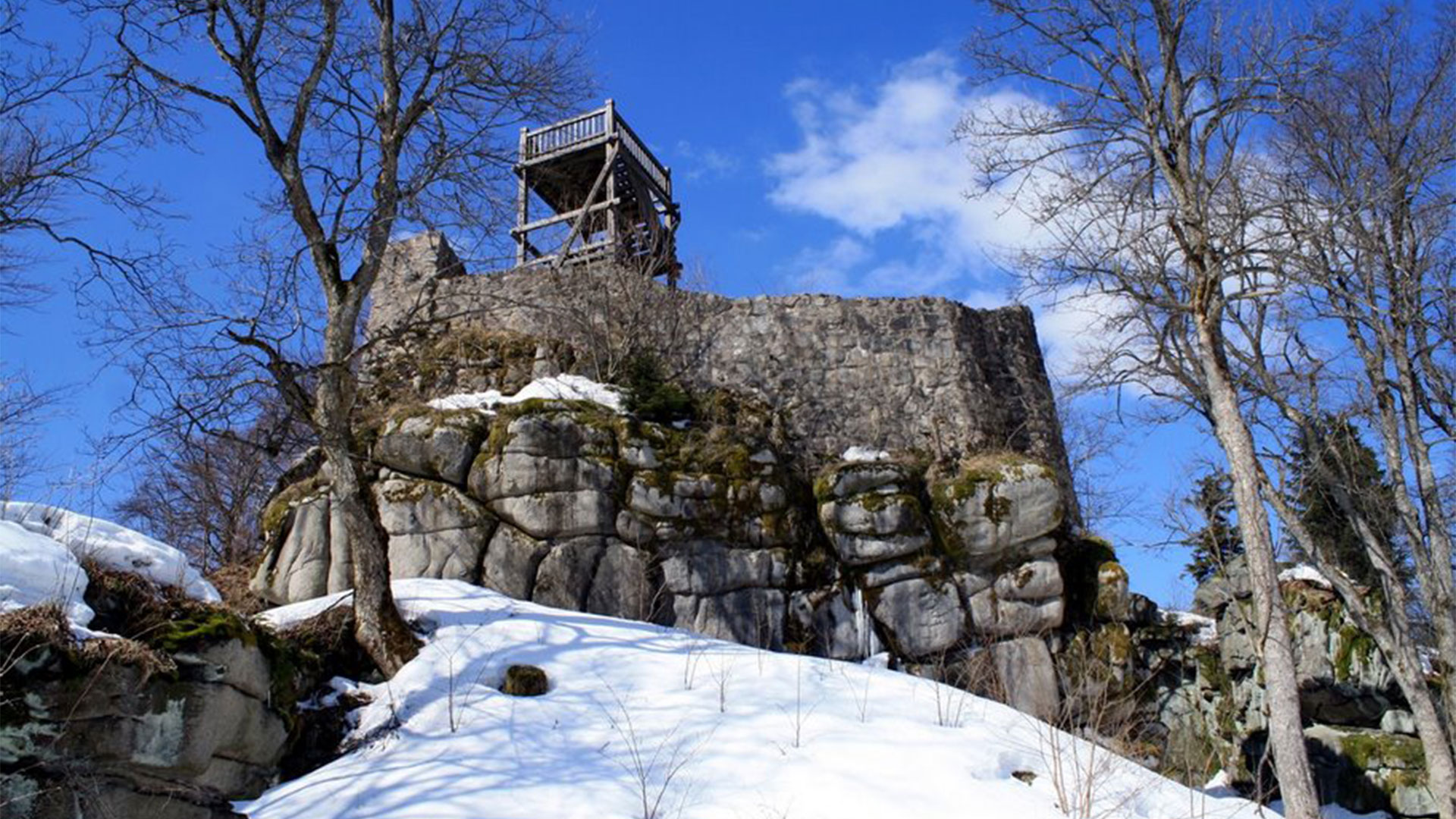 Burgruine Schellenberg