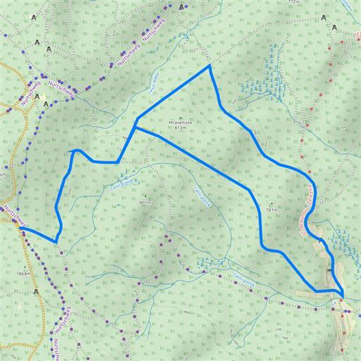 Klasická technika 10 km Zlaty Potok